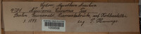Image Associated With the Occurence